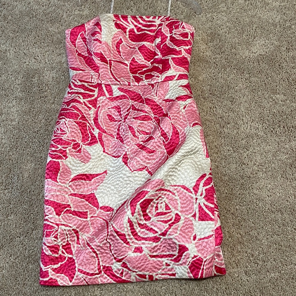 Beautiful winter Lilly dress. Worn only a handful of times.